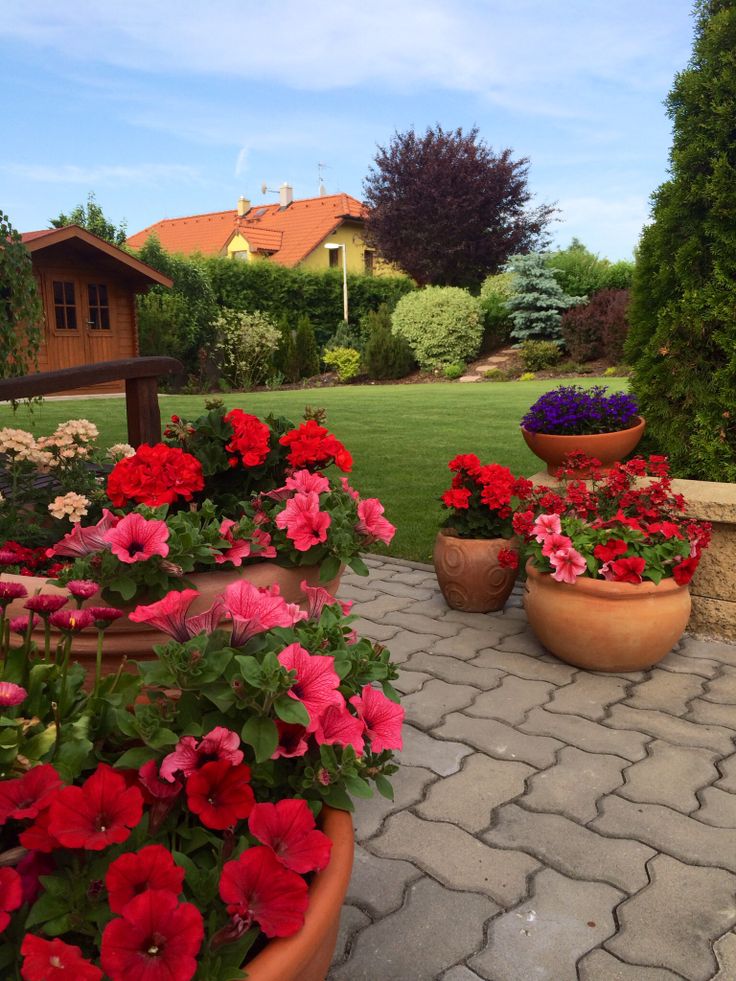 Jardim com plantas verdes e flores